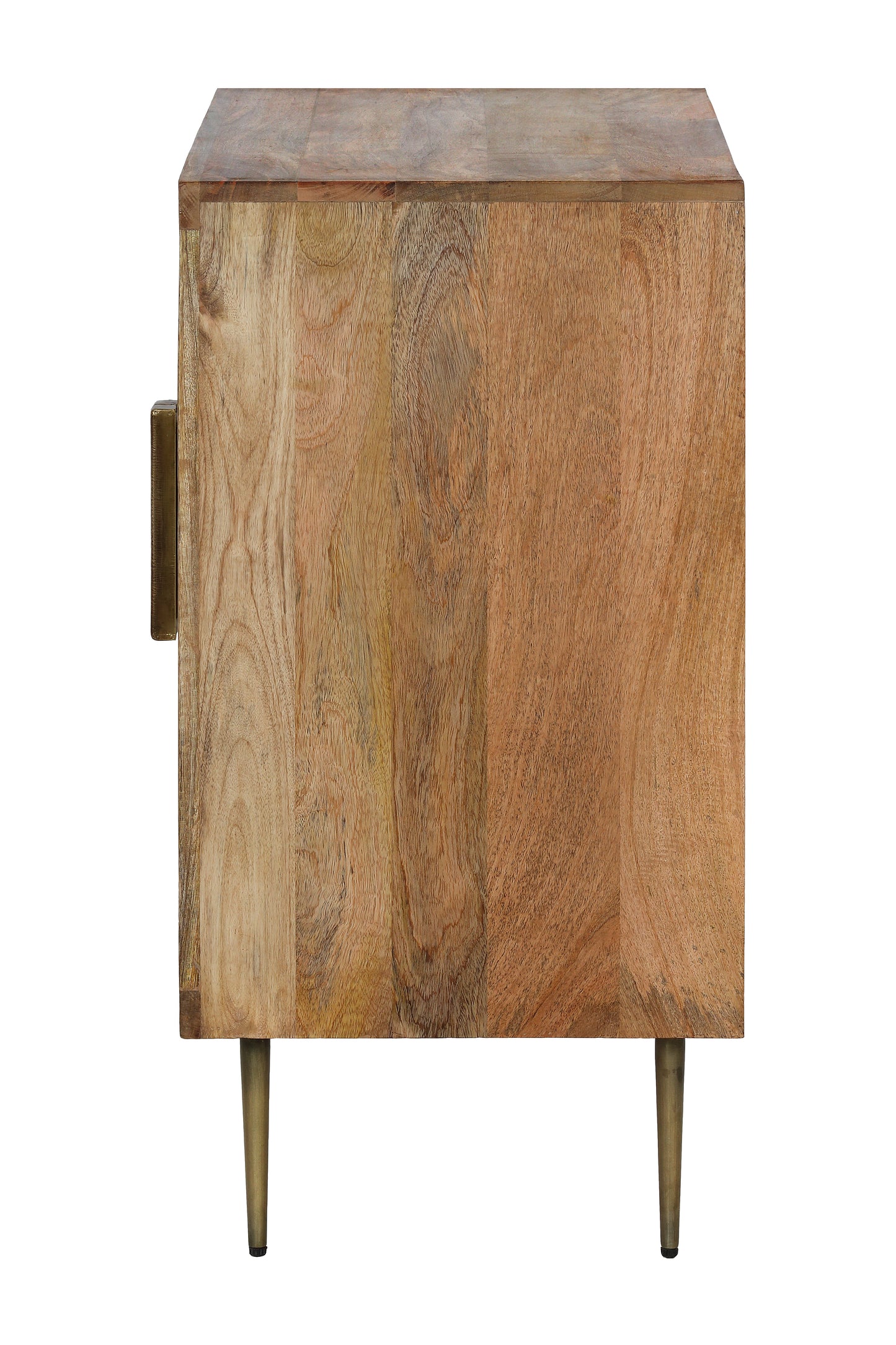 Aziza 2 Door Cabinet